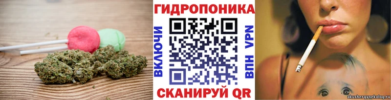 магазин  наркотиков  Северская  Canna-Cookies конопля 