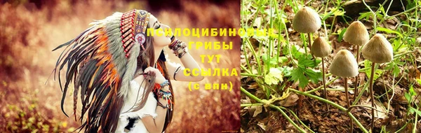 тгк Абдулино